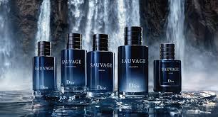 SAUVAGE IMPRESSION Perfume 100ml ...