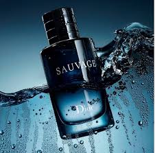 SAUVAGE IMPRESSION Perfume 100ml ...