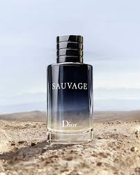 SAUVAGE IMPRESSION Perfume 100ml ...